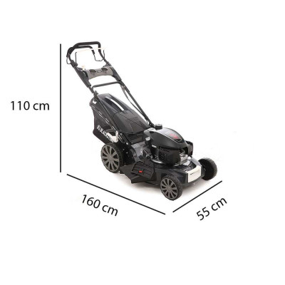 Détail moteur Honda GCVx200 tondeuse Blackstone SP530 Deluxe